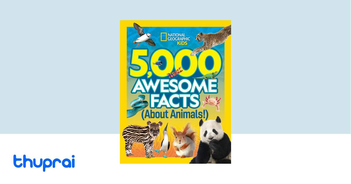 5000 (number) intelligence overview