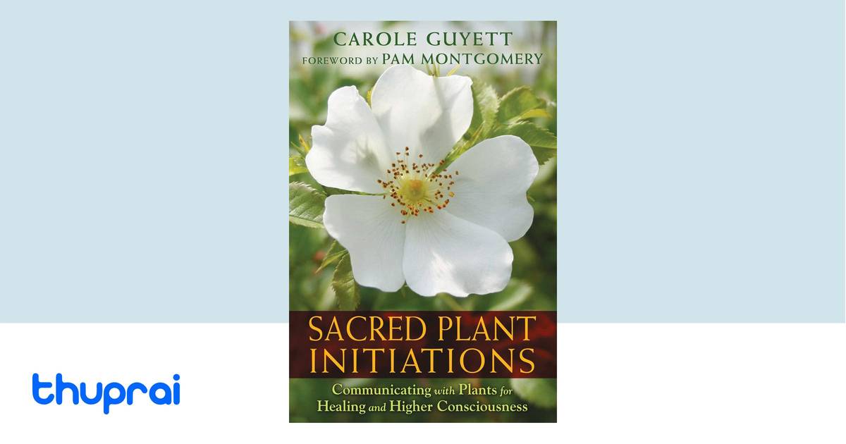 Buy Sacred Plant Initiations In Nepal Thuprai