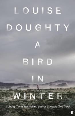 A Bird in Winter's front cover