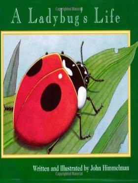 A Ladybug's Life (Nature Upclose)'s front cover