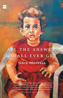 All the Answer I Shall Ever Get's front cover