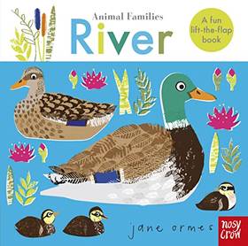 Animal Families: River's front cover
