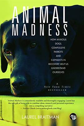 Animal Madness : How Anxious Dogs, Compulsive Parrots and Elephants in Recovery Help Us Understand O