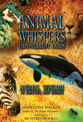 Animal Whispers Empowerment Cards: Animal Wisdom to Empower and Inspire's front cover