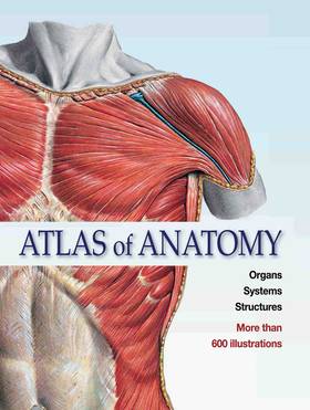 Atlas of Anatomy Organs Systems Structures's front cover