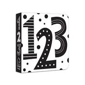 Baby’s First High Contrast Board Book: 123