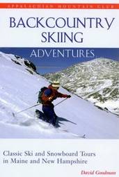 Backcountry Skiing Adventures