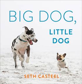 Big Dog, Little Dog's front cover