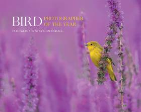 Bird Photographer of the Year: Collection 7's front cover