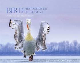 Bird Photographer of the Year: Collection 4's front cover