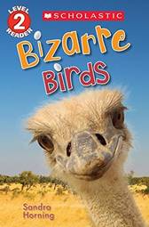 Bizarre Birds (Scholastic Reader, Level 2) [Paperback] Scholastic US
