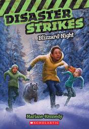 Blizzard Night (Disaster Strikes #3) (3)