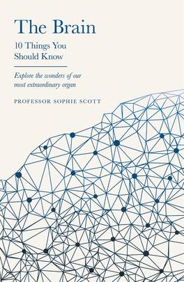 The Brain: 10 Things You Should Know's front cover