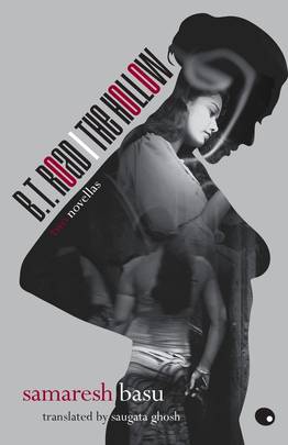 B.T. Road | The Hollow: Two Novellas's front cover