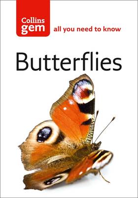 Butterflies's front cover