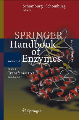 Class 2 Transferases XI's front cover