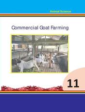 Commercial Goat Farming: Grade 11