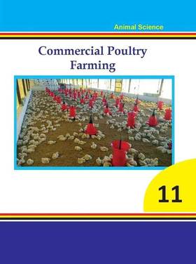 Commercial Poultry Farming - Learning Resource Material: Grade 11's front cover