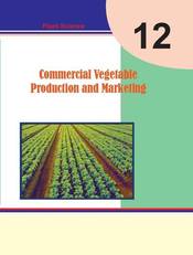 Commercial Vegetable Production and Marketing : Grade 12