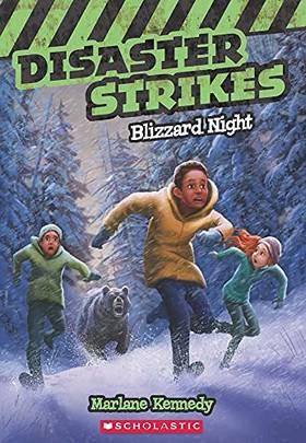Disaster Strikes #3: Blizzard Night's front cover