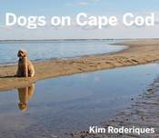 Dogs on Cape Cod