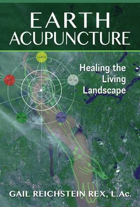 Earth Acupuncture's front cover