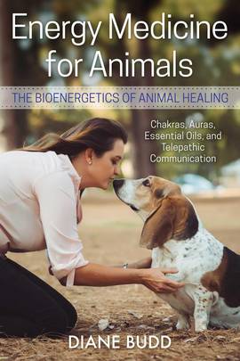 Energy Medicine for Animals's front cover