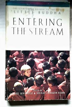 Entering the Stream's front cover