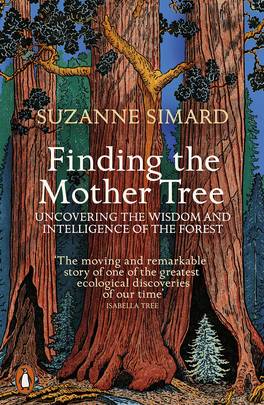 Finding the Mother Tree's front cover