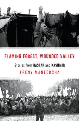 Flaming Forest, Wounded Valley's front cover