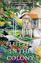 FLUTTER IN THE COLONY.