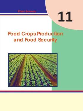 Food Corps Production and Food Security: Grade 11's front cover