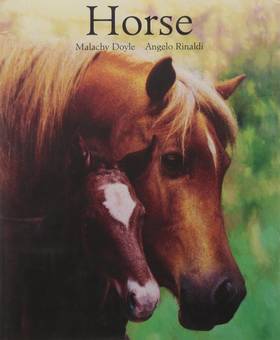 Horse [Mar 03, 2008] Doyle, Malachy and Rinaldi, Angelo's front cover