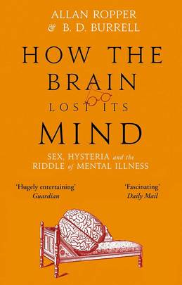 How the Brain Lost Its Mind's front cover