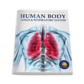 Human Body