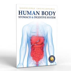 Human Body