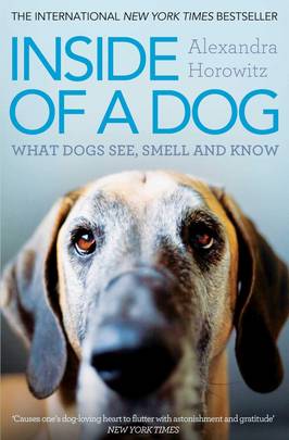 Inside of a Dog's front cover