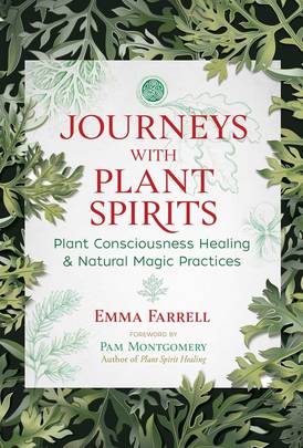 Journeys with Plant Spirits's front cover