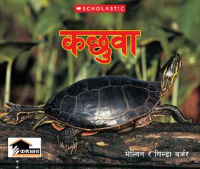 Kachuwa's front cover