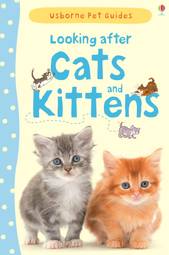 Looking After Cats and Kittens
