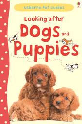 Looking After Dogs & Puppies