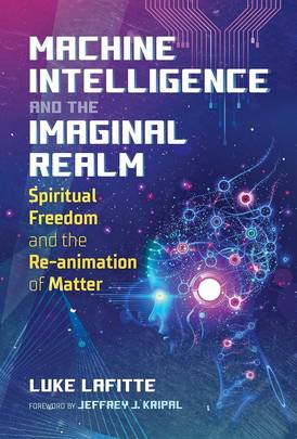 Machine Intelligence and the Imaginal Realm's front cover