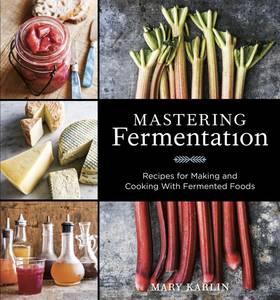 Mastering Fermentation's front cover