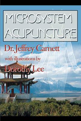 Microsystem Acupuncture's front cover