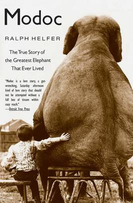 Modoc: The True Story of the Greatest Elephant That Ever Lived's front cover