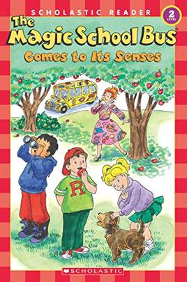 Msb: Comes To Its Senses