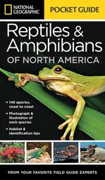 Reptiles and Amphibians of North America
