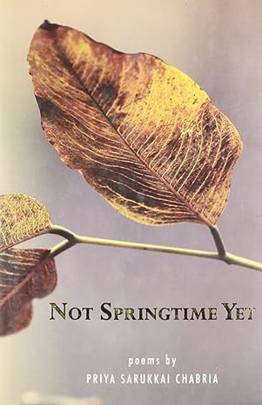 Not Springtime Yet's front cover