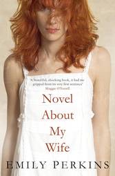 Novel about My Wife