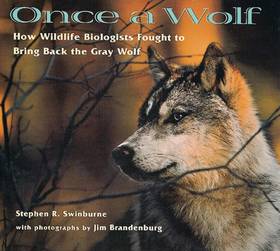 Once a Wolf's front cover